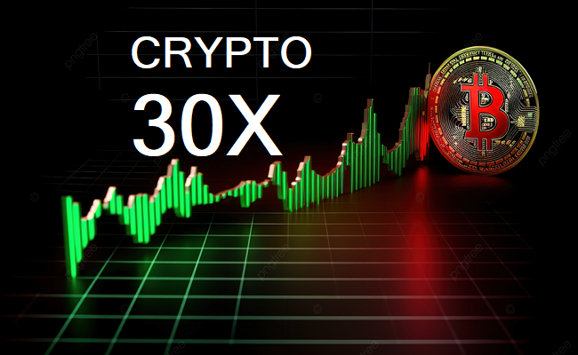 Crypto30x.com Review: Strategies for High Returns 2024